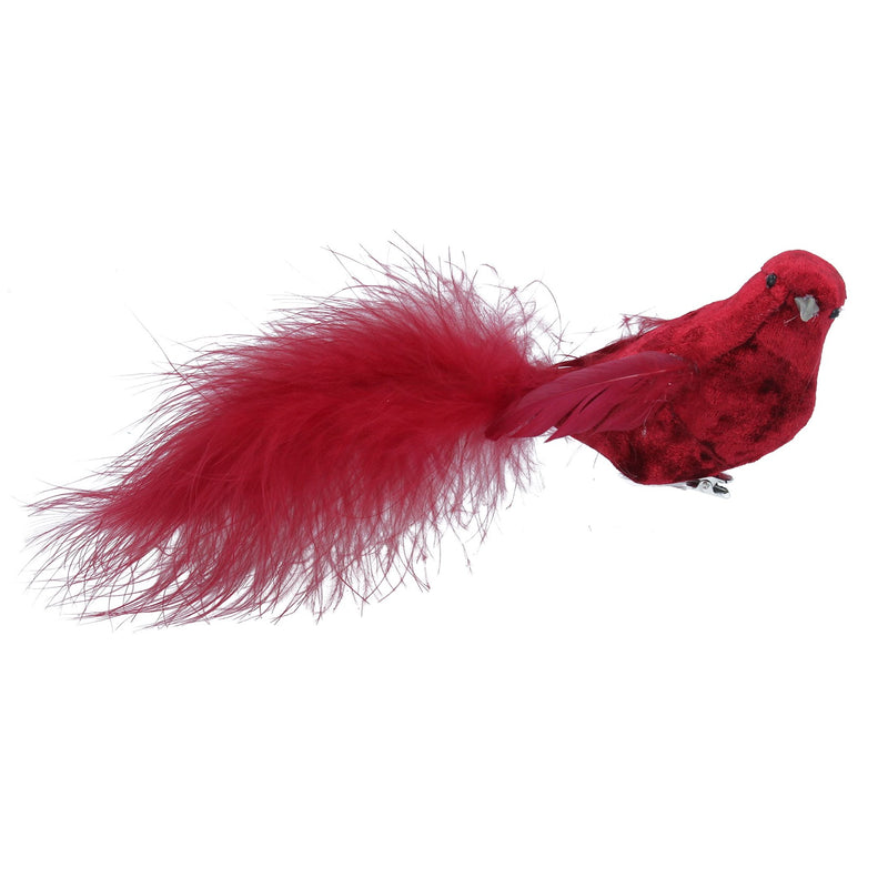 Red Clip on Bird