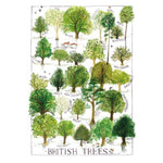 Driftwood Designs Poster Prints