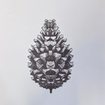 Jessica Noble Prints