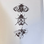 Jessica Noble Prints