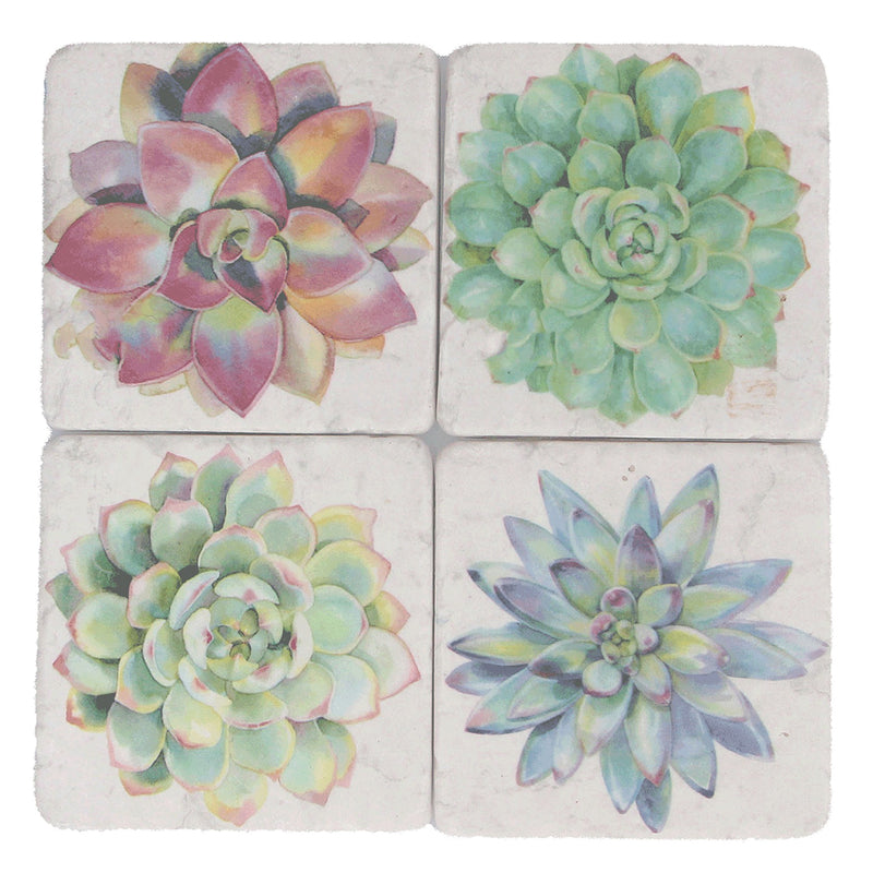 Resin Coaster 10cm, 4 ass - Succulents