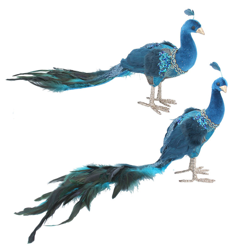24 cm Feather Peacock