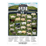 Driftwood Designs Poster Prints