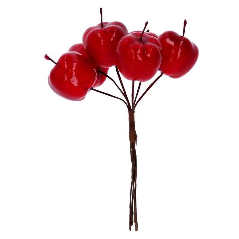 Shiny Red Apple Bunch