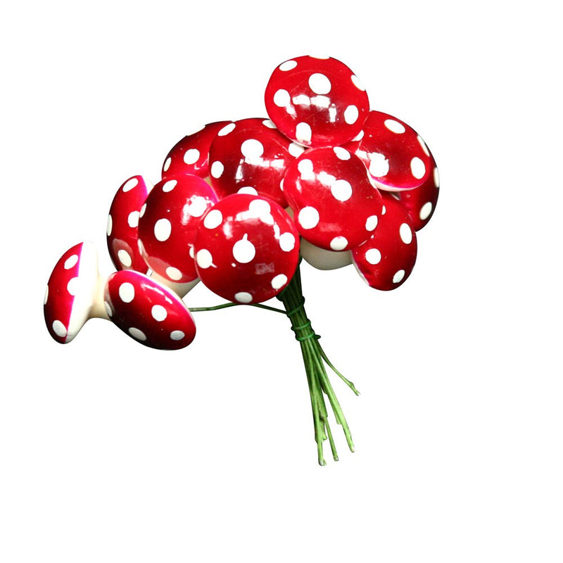 Toadstool Bunch