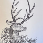 Jessica Noble Prints