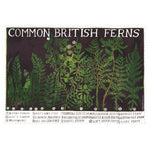 Driftwood Designs Poster Prints