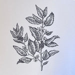 Jessica Noble Prints