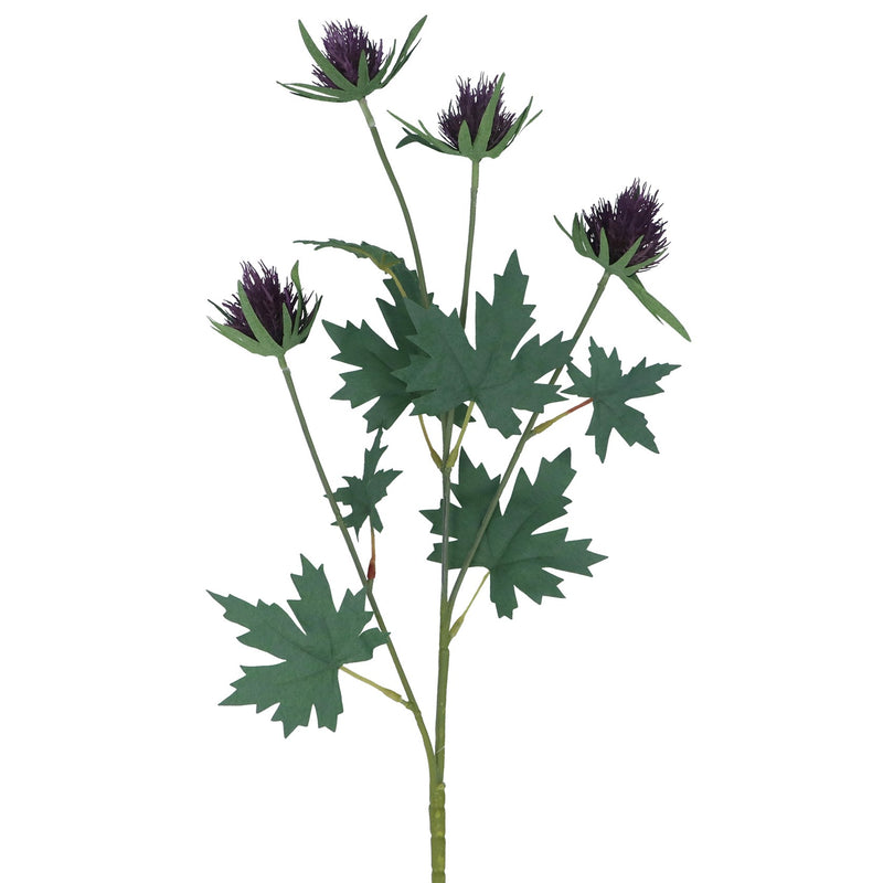 Purple Thistle Spray