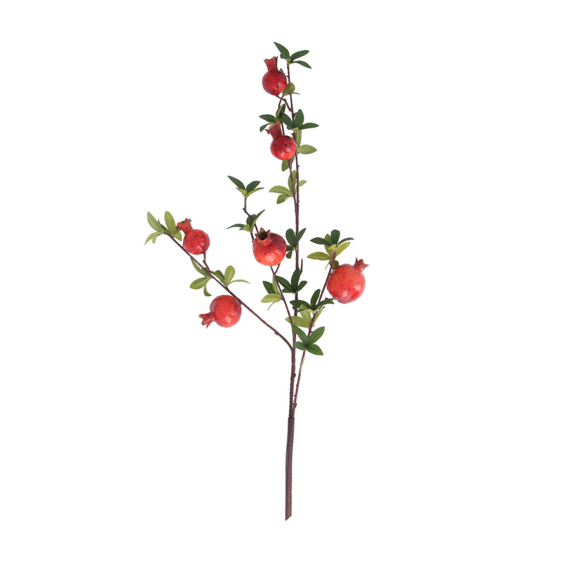 Red & Green Pomegranate Stem