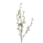 White Wintersweet Spray