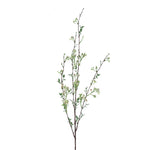 White Wintersweet Spray