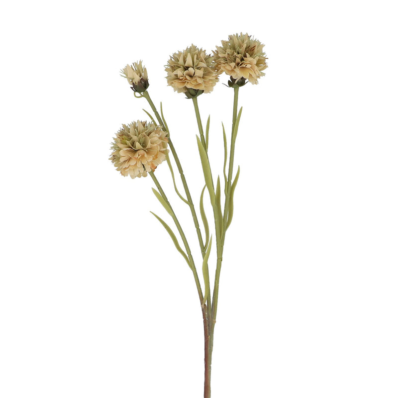 Antique Cream Echinops Spray