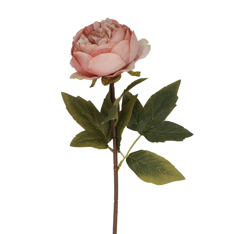 Antique Pink Peony Stem