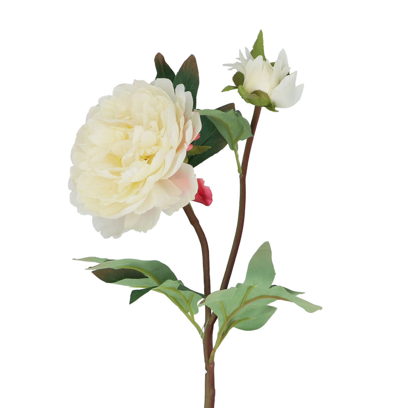 Antique White Peony Stem