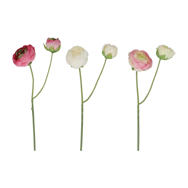 Ranunculus Mini Pick