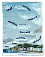 Driftwood Designs Poster Prints