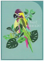 Cinnamon Aitch Cards