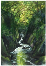 Driftwood Designs Poster Prints