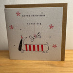 Belly Button Christmas Cards