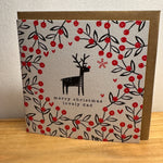 Belly Button Christmas Cards