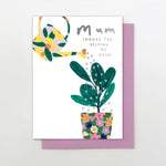 Stop The Clock Cards