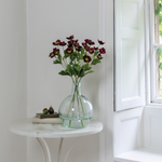 Burgundy Hellebore Flower Stem