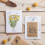 Seedling Cards