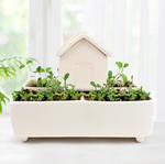 Self Watering House