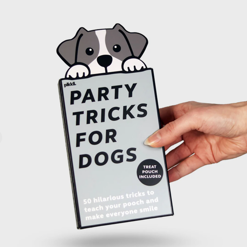 Party Tricks for Dogs