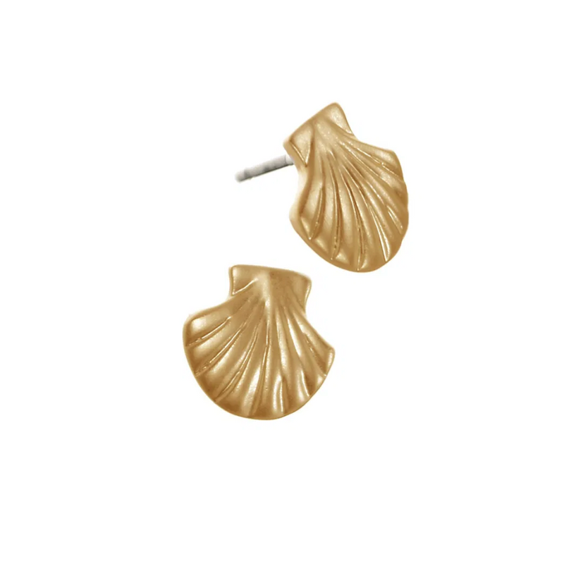 Clam Shell Matt Gold Studs