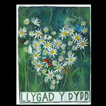 Driftwood Designs Cards