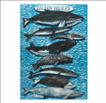 Driftwood Designs Poster Prints