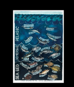 Driftwood Designs Poster Prints