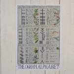 Driftwood Designs Poster Prints