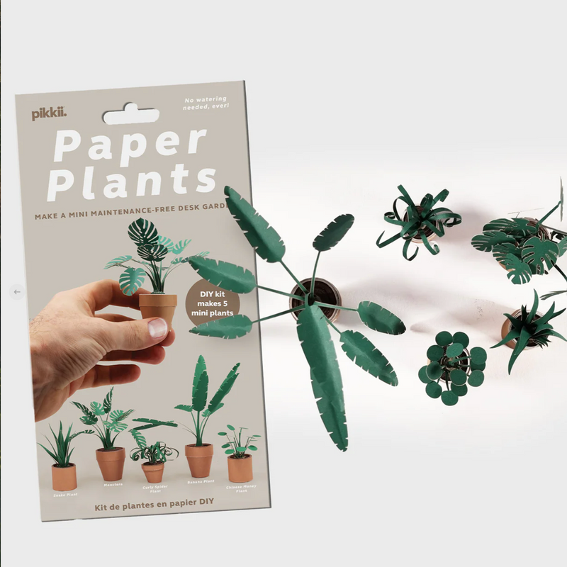 Paper Plants