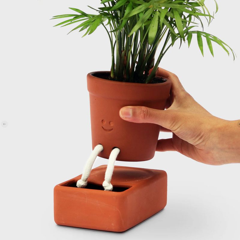 Self-care planter