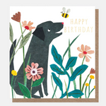 Caroline Gardener Birthday Cards