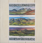 Driftwood Designs Poster Prints