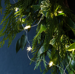 Gilded Star String Lights