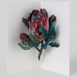 Ohh Deer Layered Cards