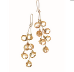 The Vine Facteed Crystal Earrings