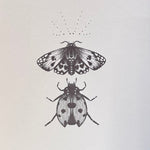 Jessica Noble Prints