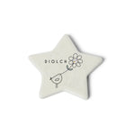 Welsh Pocket Token