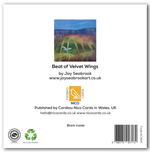 Beat of Velvet Wings by Jay Seabrook Greeting Card