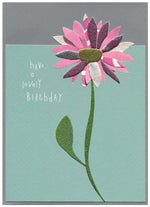 Cinnamon Aitch Cards