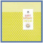 Cinnamon Aitch Cards