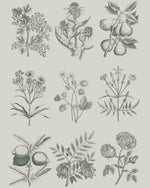 Annie Sloan Decoupage Paper
