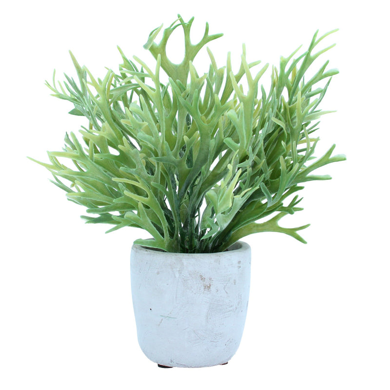 Faux Staghorn in Pot,  (LxWxD) 24x22x22cm