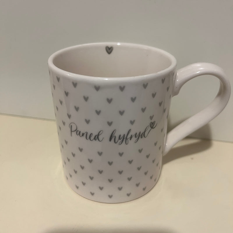 Paned Hyfryd Mug